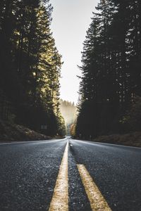 Preview wallpaper road, marking, trees, sky