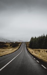 Preview wallpaper road, marking, trees, climbing