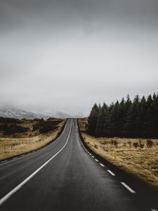 Preview wallpaper road, marking, trees, climbing