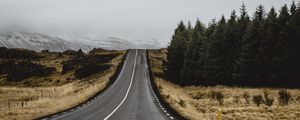 Preview wallpaper road, marking, trees, climbing