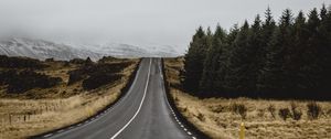 Preview wallpaper road, marking, trees, climbing