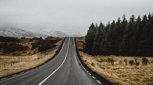 Preview wallpaper road, marking, trees, climbing