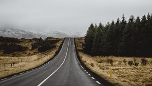 Preview wallpaper road, marking, trees, climbing