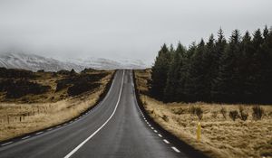 Preview wallpaper road, marking, trees, climbing