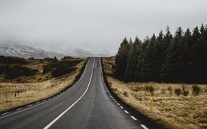 Preview wallpaper road, marking, trees, climbing