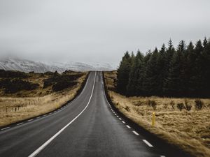 Preview wallpaper road, marking, trees, climbing