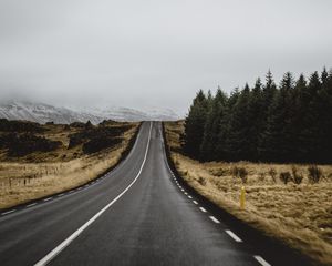 Preview wallpaper road, marking, trees, climbing