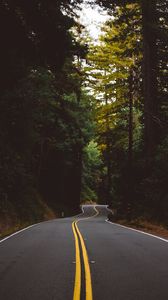 Preview wallpaper road, marking, trees, forest, turn
