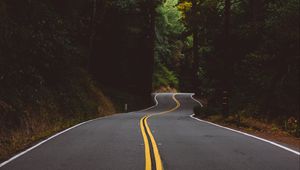 Preview wallpaper road, marking, trees, forest, turn