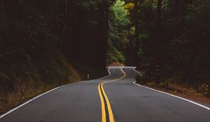 Preview wallpaper road, marking, trees, forest, turn