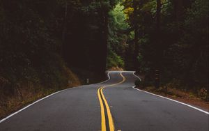 Preview wallpaper road, marking, trees, forest, turn