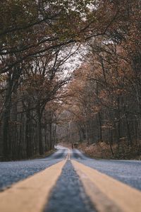 Preview wallpaper road, marking, trees, turn