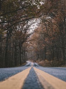 Preview wallpaper road, marking, trees, turn