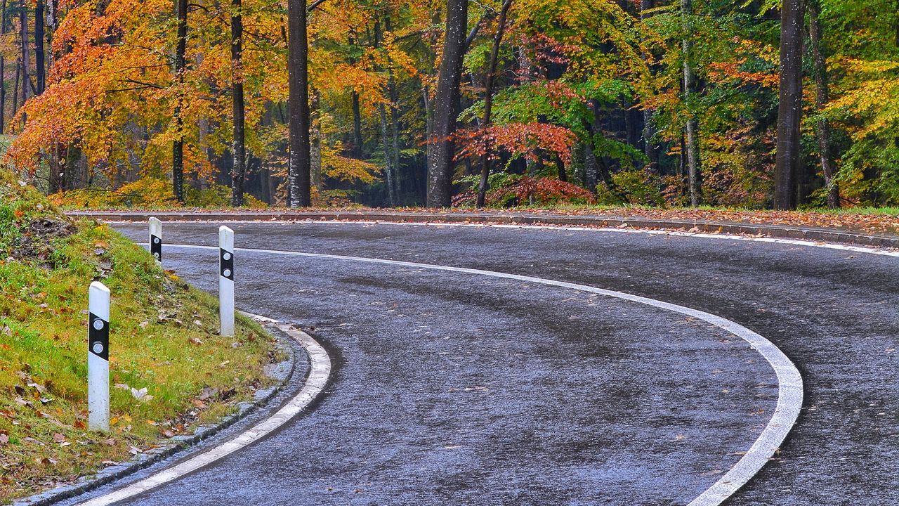 Wallpaper road, marking, trees, autumn