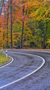 Preview wallpaper road, marking, trees, autumn