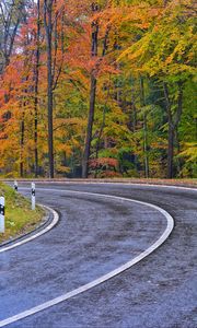 Preview wallpaper road, marking, trees, autumn