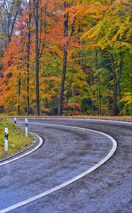 Preview wallpaper road, marking, trees, autumn