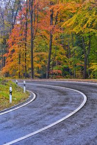 Preview wallpaper road, marking, trees, autumn