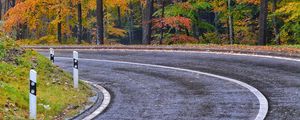 Preview wallpaper road, marking, trees, autumn