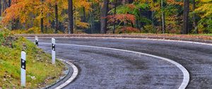 Preview wallpaper road, marking, trees, autumn