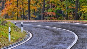 Preview wallpaper road, marking, trees, autumn