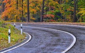 Preview wallpaper road, marking, trees, autumn