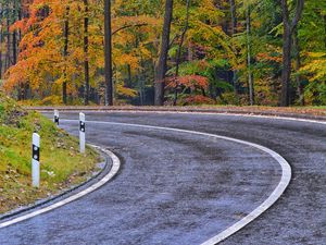 Preview wallpaper road, marking, trees, autumn