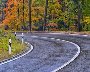 Preview wallpaper road, marking, trees, autumn