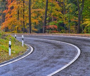 Preview wallpaper road, marking, trees, autumn