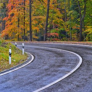 Preview wallpaper road, marking, trees, autumn