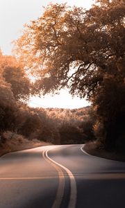 Preview wallpaper road, marking, trees, bushes