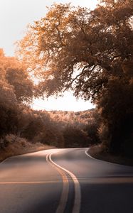 Preview wallpaper road, marking, trees, bushes