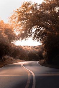 Preview wallpaper road, marking, trees, bushes