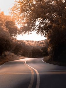 Preview wallpaper road, marking, trees, bushes