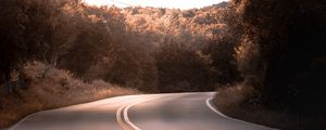 Preview wallpaper road, marking, trees, bushes