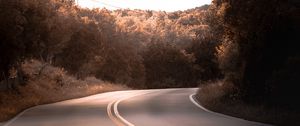 Preview wallpaper road, marking, trees, bushes