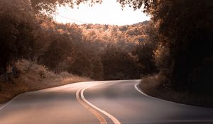 Preview wallpaper road, marking, trees, bushes