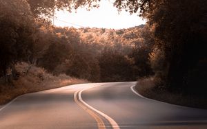 Preview wallpaper road, marking, trees, bushes