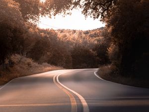 Preview wallpaper road, marking, trees, bushes