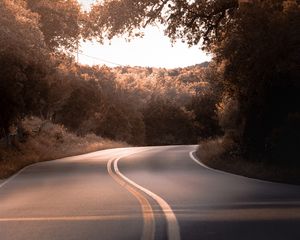 Preview wallpaper road, marking, trees, bushes