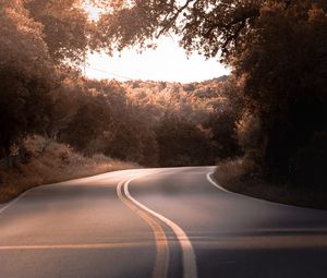 Preview wallpaper road, marking, trees, bushes