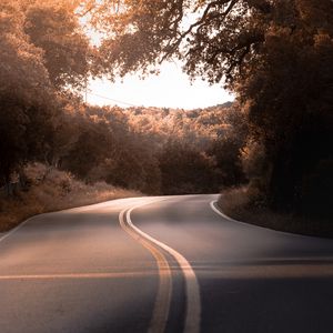 Preview wallpaper road, marking, trees, bushes