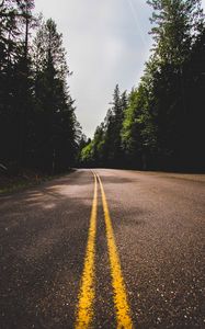 Preview wallpaper road, marking, trees, travel