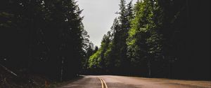 Preview wallpaper road, marking, trees, travel