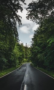 Preview wallpaper road, marking, trees, forest, sky