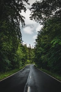 Preview wallpaper road, marking, trees, forest, sky