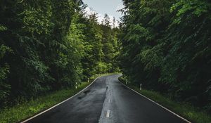 Preview wallpaper road, marking, trees, forest, sky