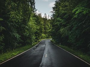 Preview wallpaper road, marking, trees, forest, sky