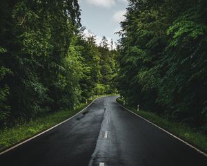 Preview wallpaper road, marking, trees, forest, sky