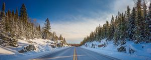 Preview wallpaper road, marking, trees, snow, snowy